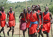poster panoramique masaï au Kenya